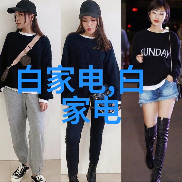 美的集团公告聘任柏林为副总裁