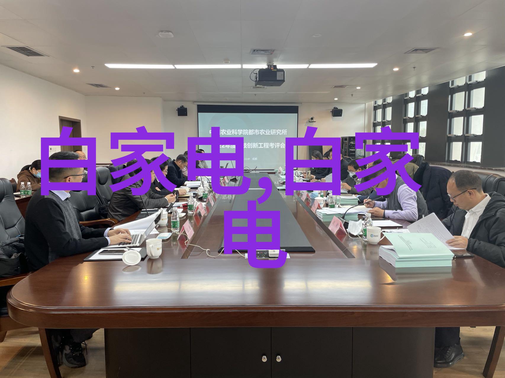 董小姐金句频出企业急功近利总有一天会被别人抛弃
