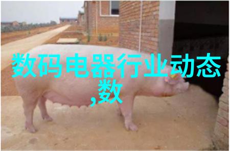 A股强势回归券商如何研判后市走向