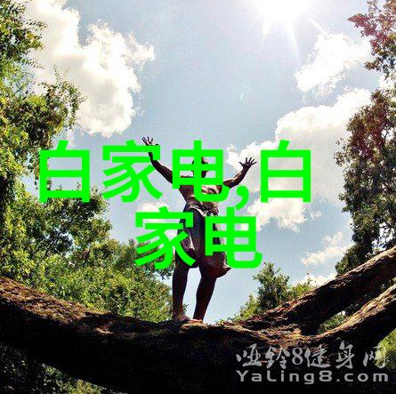 全球智慧家庭发明专利榜海尔智家11连冠
