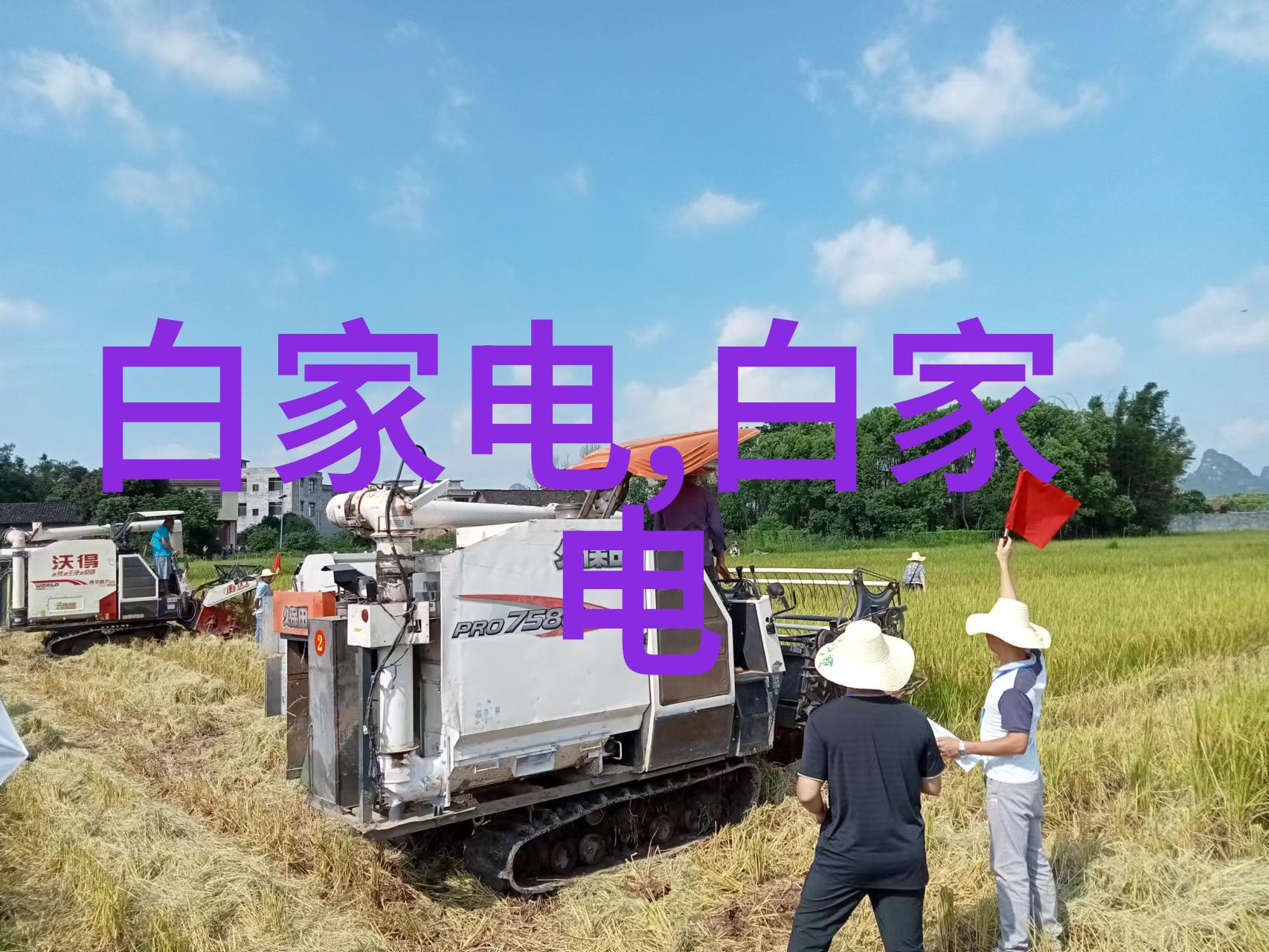 TCL创始人董事长李东生 完善海外产业链布局 提升全球竞争力